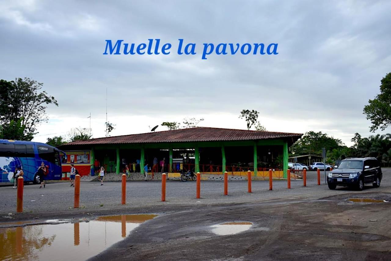 Hotel Casa turtle Bogue Tortuguero Exterior foto