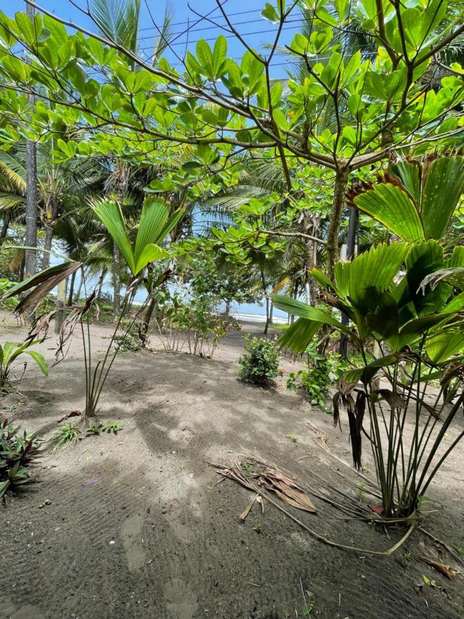 Hotel Casa turtle Bogue Tortuguero Exterior foto