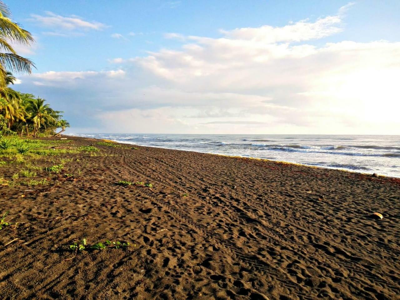 Hotel Casa turtle Bogue Tortuguero Exterior foto