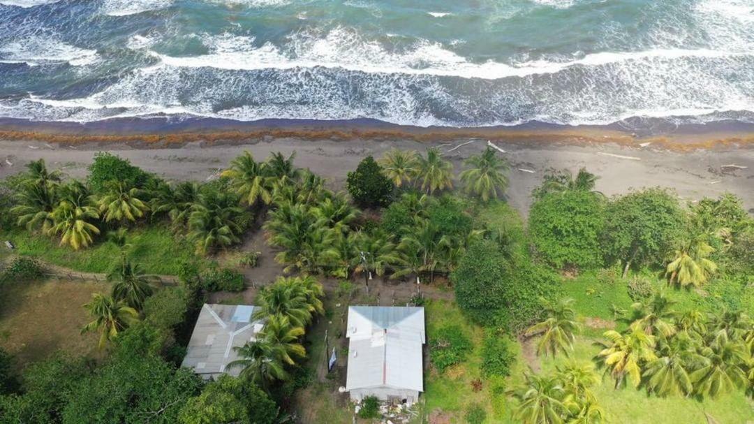 Hotel Casa turtle Bogue Tortuguero Exterior foto