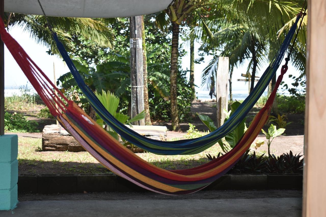 Hotel Casa turtle Bogue Tortuguero Exterior foto